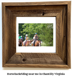 horseback riding near me in Chantilly, Virginia